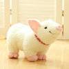 Lovely Cute Pig Plush Toy